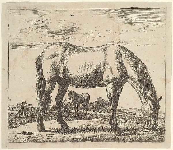 Grazing Horse, plate 7 from "Different Animals"