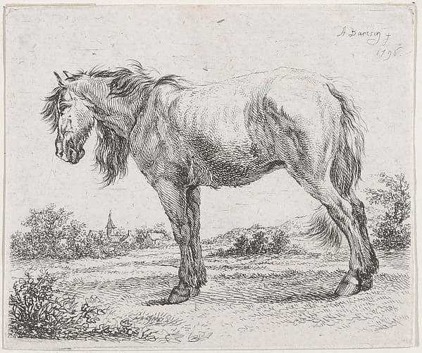 Horse standing on a meadow in profile to left